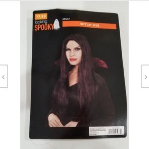 Halloween Adult Witch Wig Straight Long Black